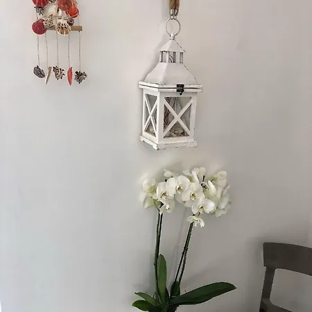 Il Corallo Bed & Breakfast San Benedetto del Tronto