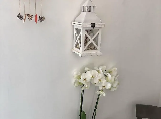 Il Corallo فندق مبيت وإفطار سان بنيديتّو ديل ترونتو