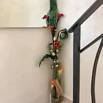 Il Corallo Bed & Breakfast San Benedetto del Tronto