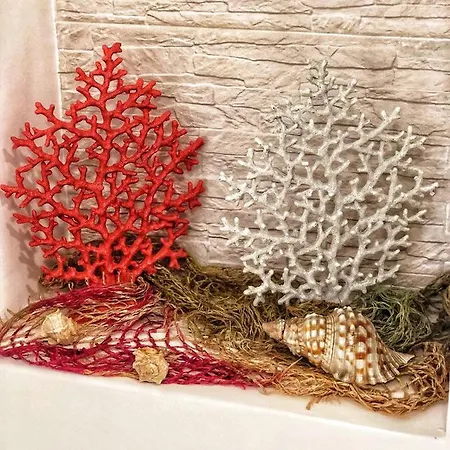 住宿加早餐酒店 Il Corallo 4*