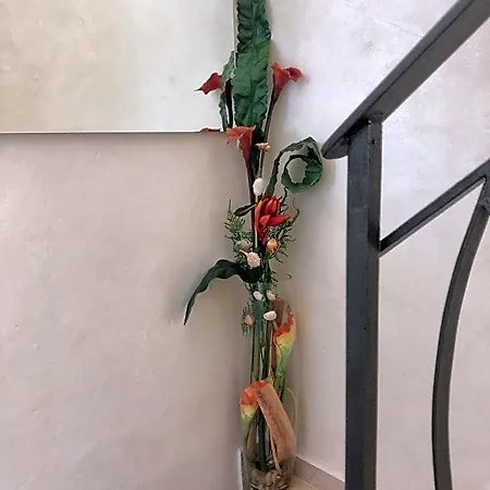 Il Corallo 住宿加早餐酒店 圣贝内代托-德尔特龙托