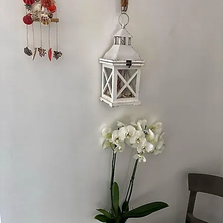 Il Corallo